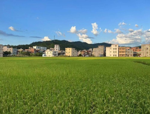 2021十四届全运会奖牌榜(9月18号)