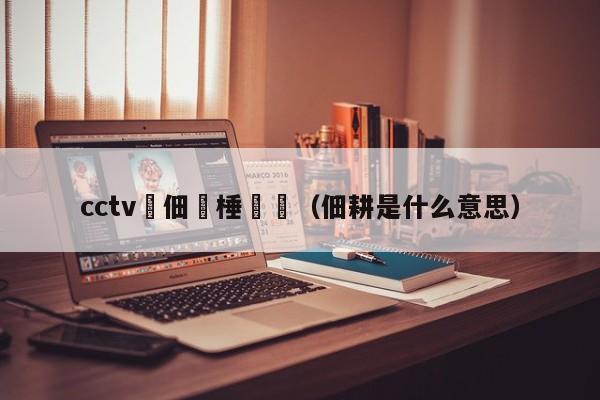 cctv鐢佃棰戦亾（佃耕是什么意思）